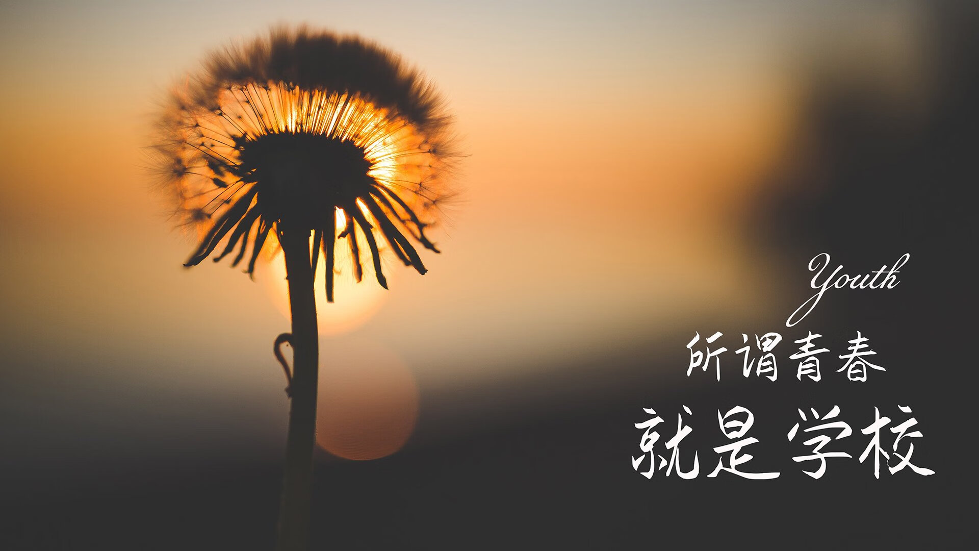 足球运动常识列入中小学课程标准试点，足球课程体系