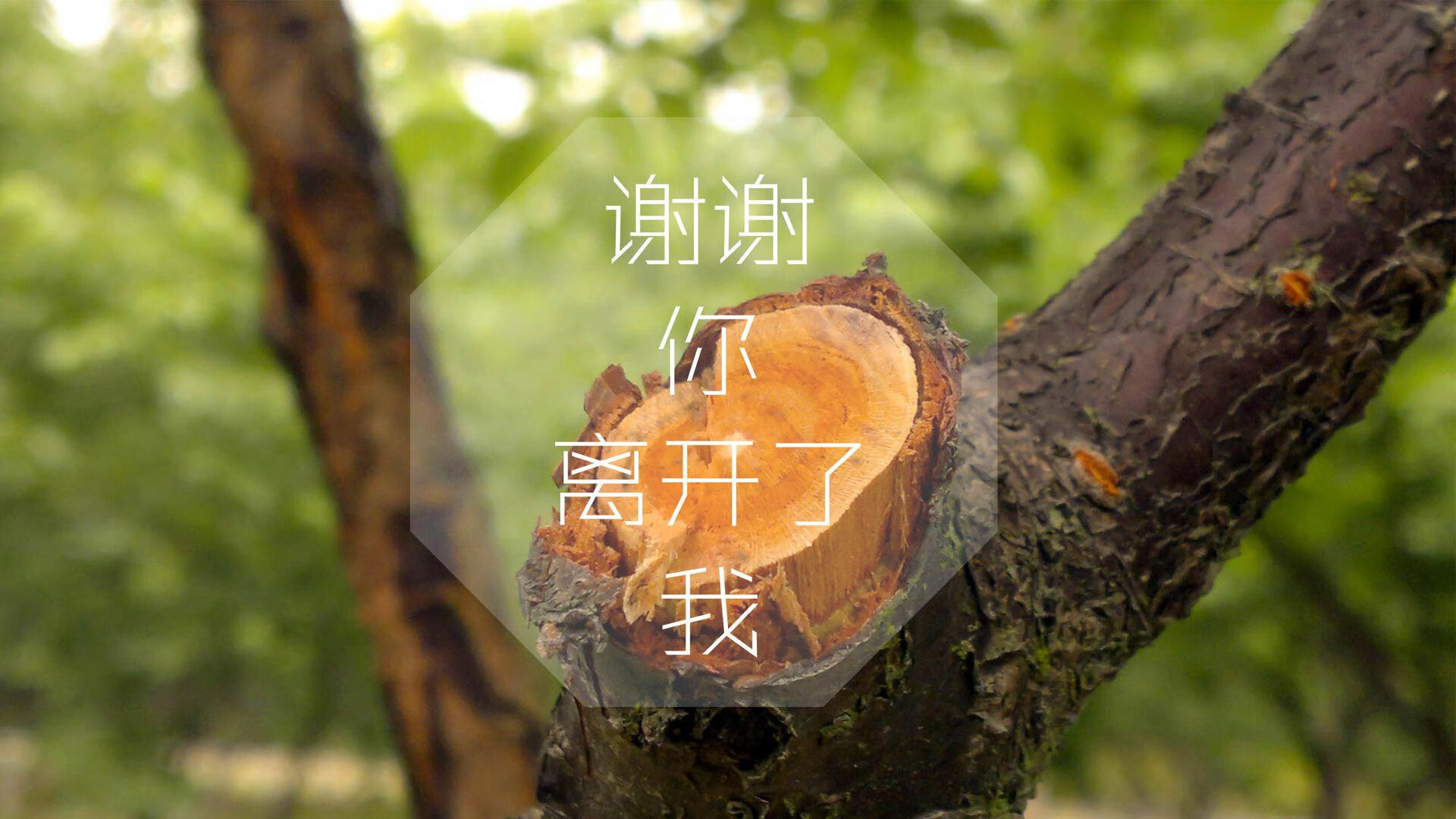 托桑·埃夫布奥姆万在NBA常规赛中贡献11.2分和4.2个篮板，埃托奥与布冯相视一笑