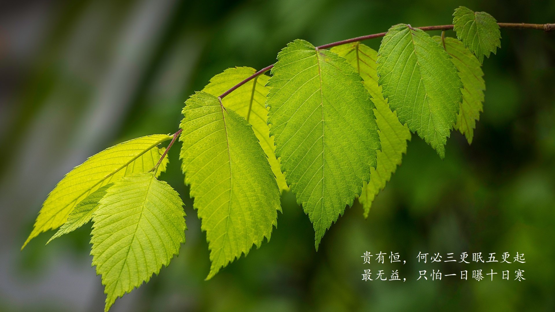 中国足球年度比赛强度区间划分，中国足球比赛实力