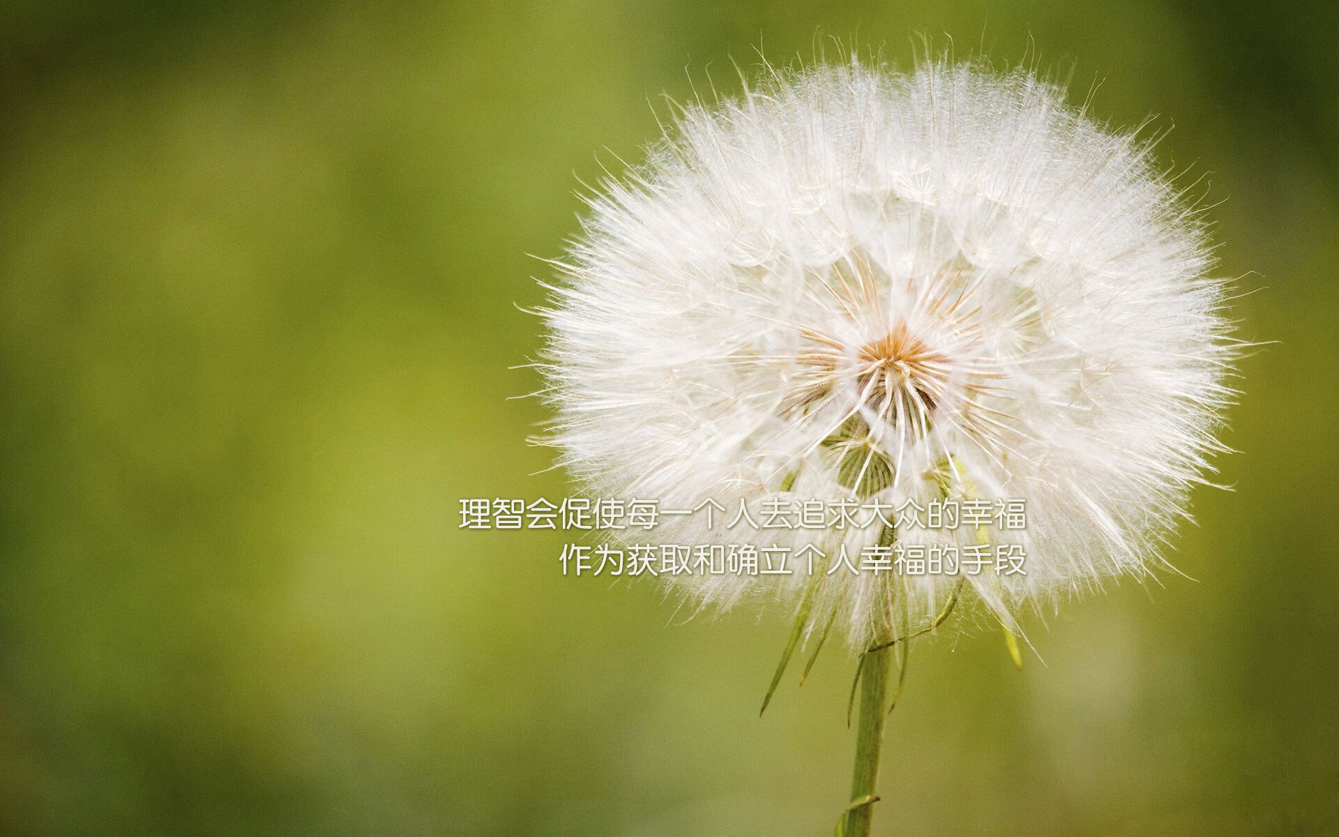 Kaiyun官方登录入口-防守坚固成夺冠基石，切尔西失球最少，切尔西防守怎么这么强